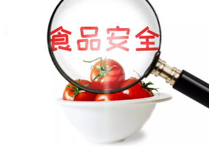 守护舌尖安全，共筑食安淄博——关于征集市民最关心的食品安全与餐饮管理问题的倡议